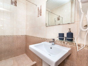 Мини-Отель Брусника Полежаевская