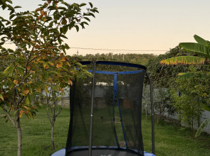 отель Sea Land Cottage