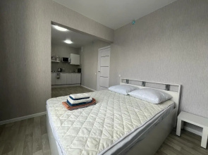 Квартира на Титова 254/1