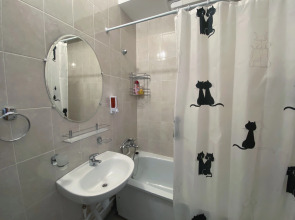 Квартира Студия Синяя в поселке Песочном