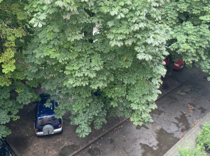 Квартира в самом центре города