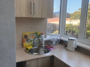 Апартаменты Евродвушка в Новом Доме