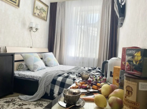 Uyutnaya Studiya v Tsentre Simferopolya v Starinnoy Usadybe Flat