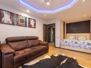 Тихие апартаменты  в центре города, ул.Горького 154. Сова-Дом