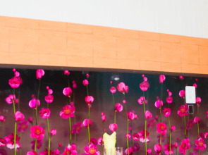 Квартира на Толбухина 64