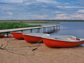 Гостевой дом Дикий Гусь
