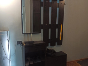 Апартаменты на Семья Шамшиных 69А