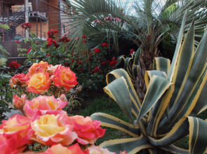 Апарт-отель Planeta MOV