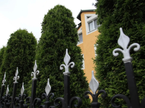 Yantarina Guest house
