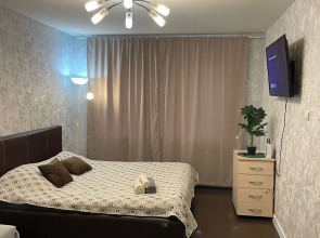 Uyutnaya kvartira po ulitse Podmoskovnaya Apartments