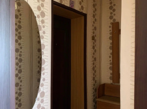 Апартаменты Рядом с аэропортом Толмачево