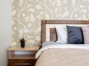 Квартира Аристократ в Центре Города