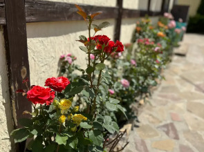 Мини-отель Семейный