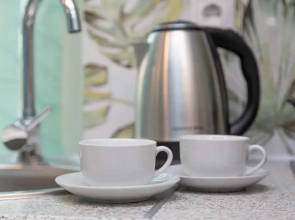 Квартира студия на Бачуринской 13-3