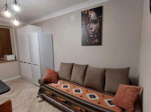 Квартира Евродвушка