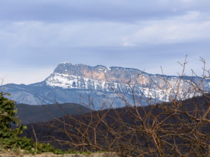 Гостевой Дом Mimino