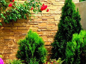 Апартаменты Green Garden