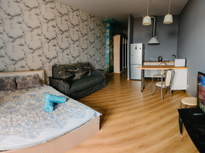 Studiya v tsentre goroda Flat