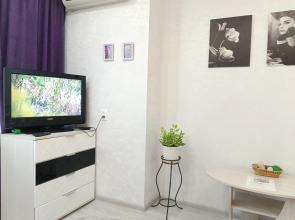 Квартира на Боевой у Трц Алимпик