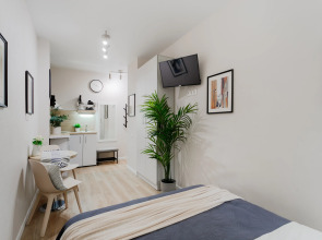 Апартаменты Монохромная Красноармейская