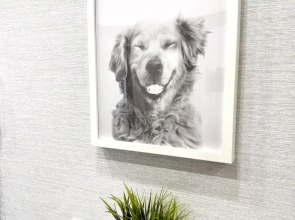 Квартира DreamApart Park & Comfort