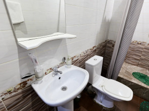 Автор Братиславская