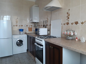 Квартира Золотой жук