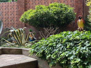 Гостевой дом Бамбуковый Рай