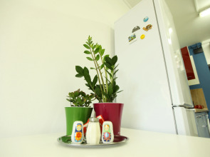 Хостел Три Матрёшки