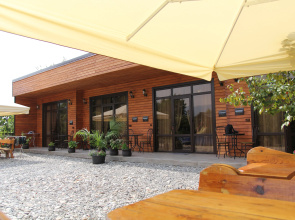 Mechta Guest House