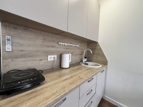 Апартаменты Unique Apart Бархат у Парка Ангелов и Цирка на Мичурина 58/1