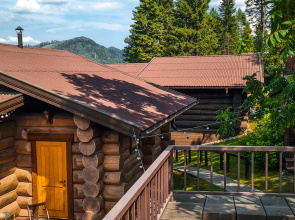 Дом Kedr House