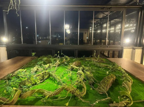 Отель Hill Hotel Kutaisi