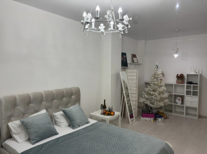 Апартаменты бизнес-класса  рядом ледовый дворец