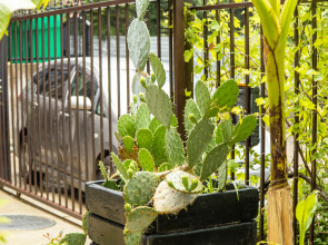 Гостевой Дом Light House