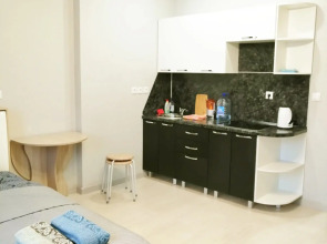 Апартаменты Инские Холмы 715