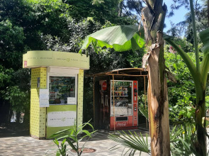 Апартаменты Пальма 5