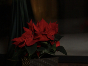 Апартаменты Lux апартаменты в премиальном ЖК в 2-х км от Кремля