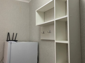 Квартира  на  Ольгинской  набережной  9