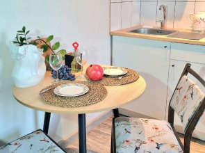 Апартаменты на Шафиева 44/1