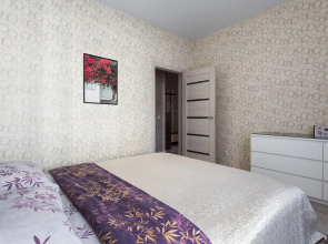 Квартира на пр. Красный 222/2