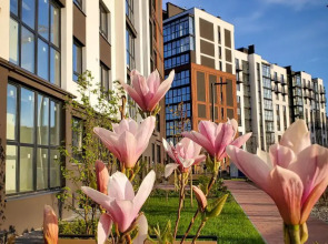 Квартира Невский релакс