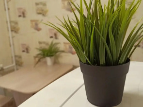 Квартира Красный проспект 59