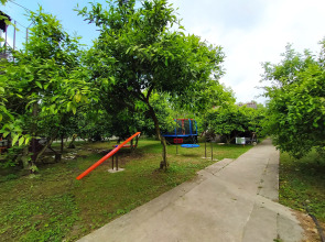 Отель Мандариновый берег