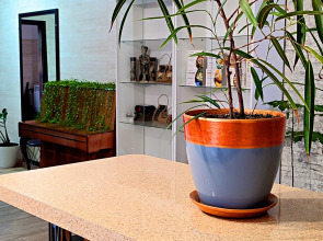 Гостевой дом Эко Хаус