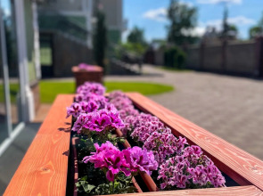 Гостевой дом Dragon Spa