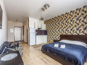 Апартаменты Hanaka Юбилейный 67