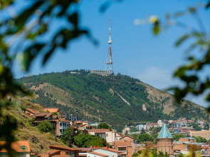 Отель Gvino Minda