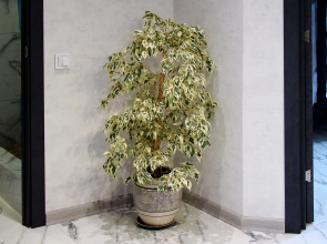 Хостел АртХаус