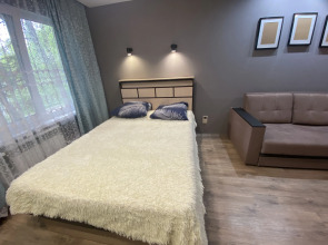 Квартира однокомнатная на Кижеватова 9